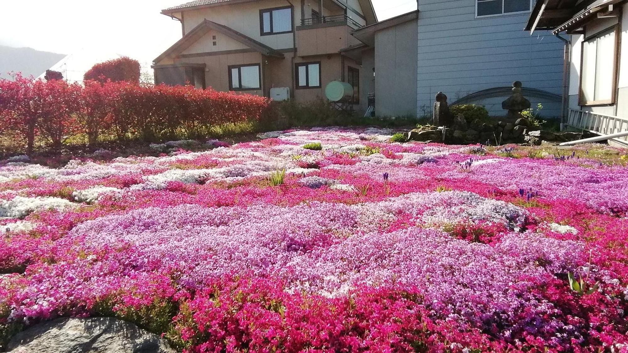 Guest House Honami-Kaido Yamanouchi  Bagian luar foto